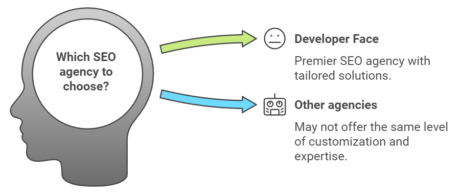 SEO Agency in America How Developer Face is Leading the Market